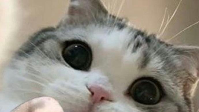 你以为没用，实则超厉害的 7 个养生小妙招