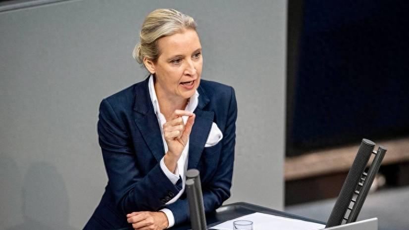 德国最新民调出炉，亲俄政党支持率再度上涨，魏德尔将成最大赢家