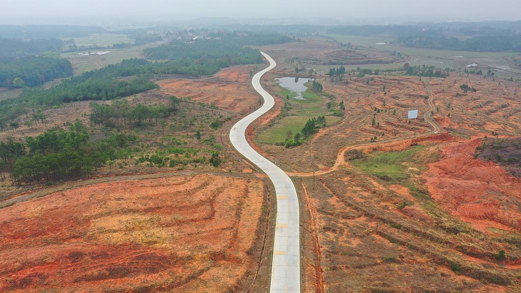 2025乙巳蛇年每日通盛及各生肖运势11月29日