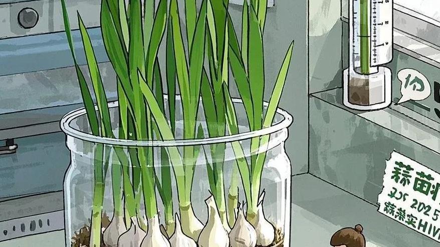 矿泉水瓶里的蒜苗如何成就一位情绪大师