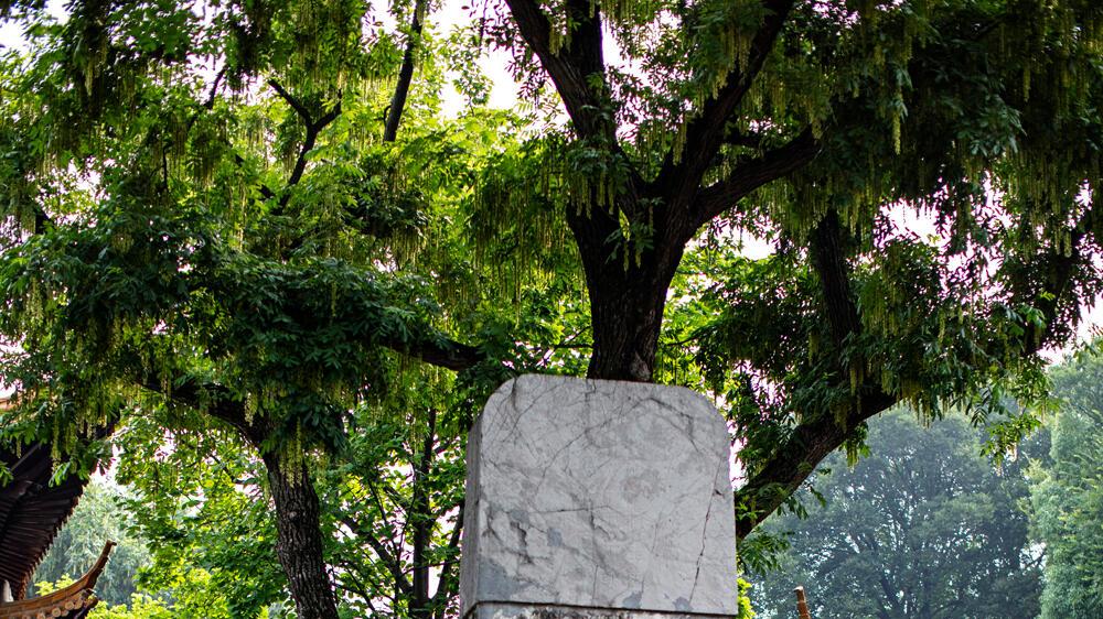 朱元璋御赐的名字有多狂？这处秘境太顶了，万仞宫墙藏着千年野心