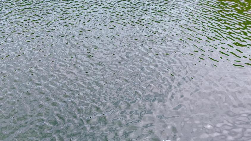 走，去浮山森林公园！对焦飞鸟，也别错过脚下生机！