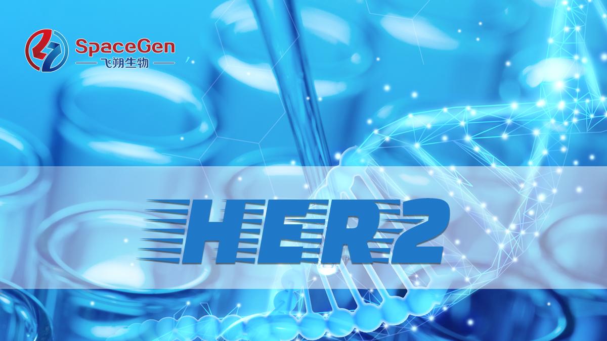 HER2表达检测新技术