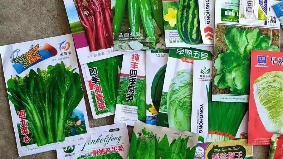 蔬菜种子包装上，都写着不可留种，到底能不能留？
