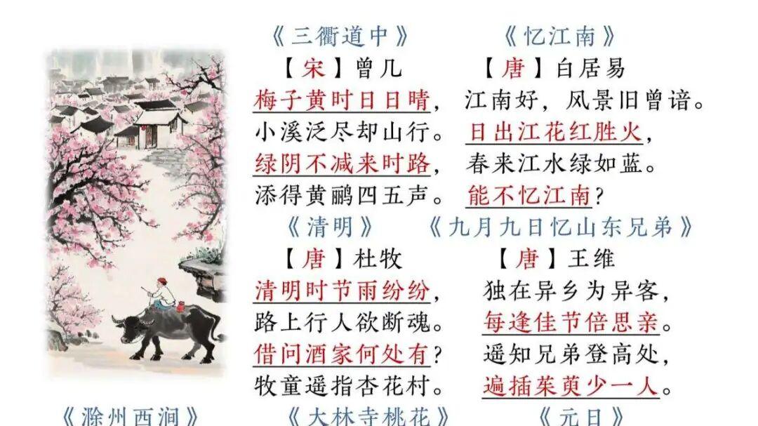 三年级下册语文全册知识点汇总，复习必备！可打印