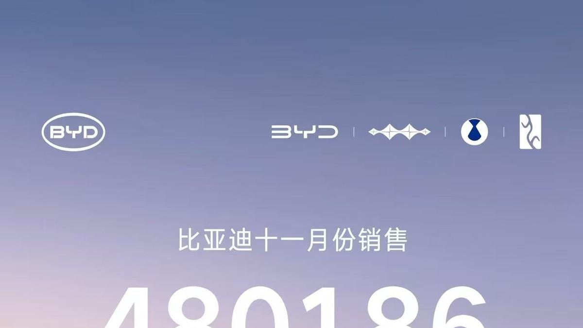 比亚迪11月大卖480186辆，创年内新高