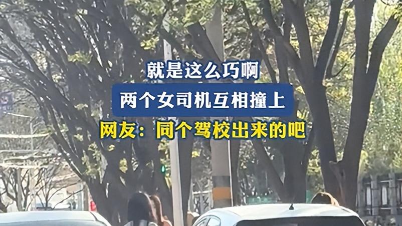 越闹越大！两个女司机开车互相撞上，网友评论区炸锅！