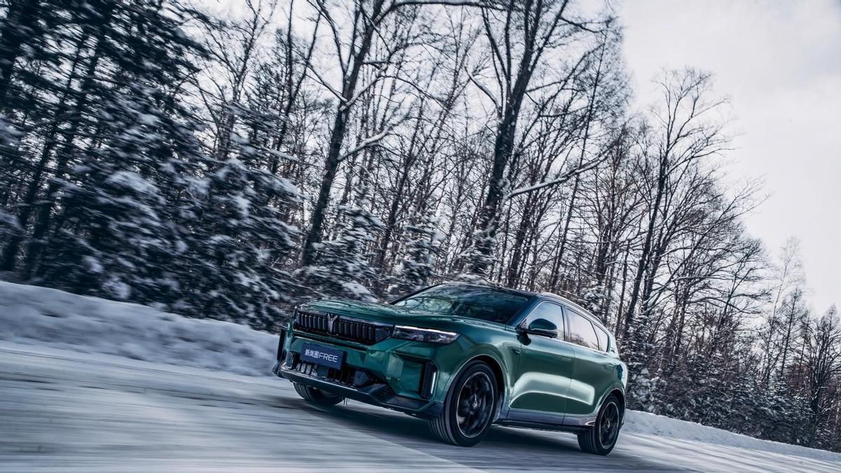 新能源车不适合冬天？新岚图FREE证明：智能四驱雪地不打滑