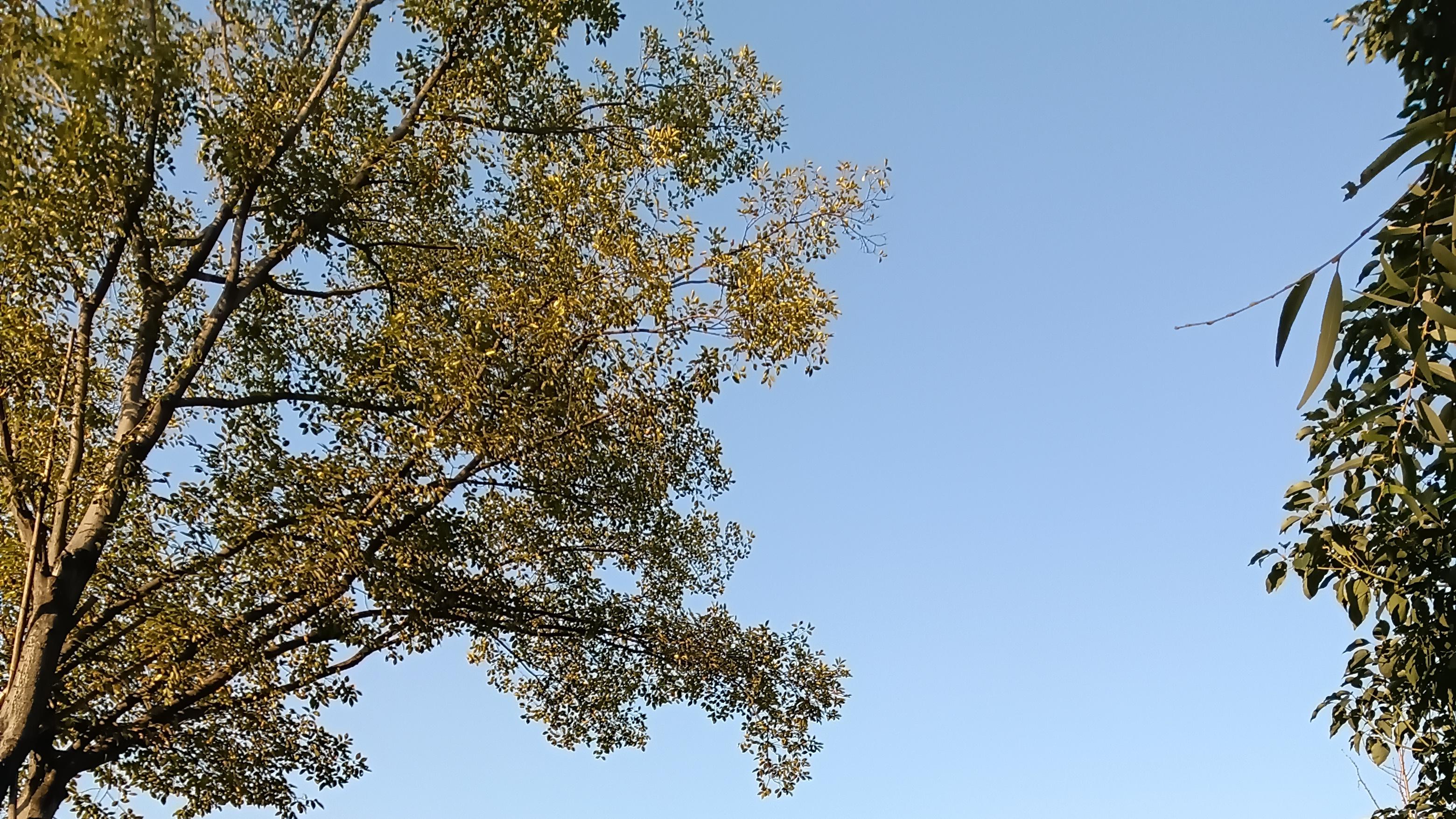 淘宝直通车定向推广全攻略：从开启到精通的实战指南