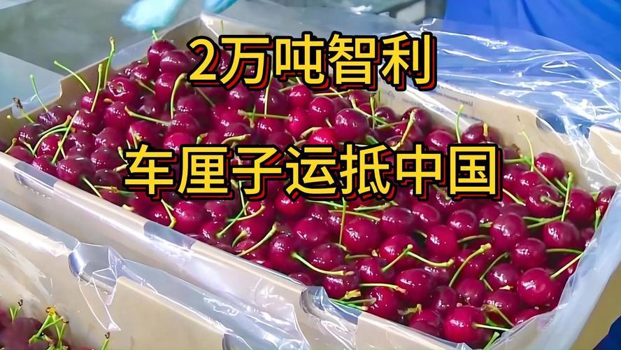 智利车厘子漂洋过海，甜蜜登陆中国：一场味蕾与文化的双重盛宴