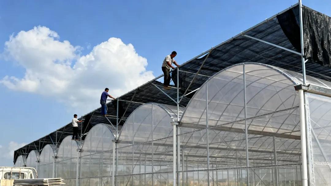 如何提高连栋薄膜温室大棚的密封性及保温性能，从技术细节到增产实效！