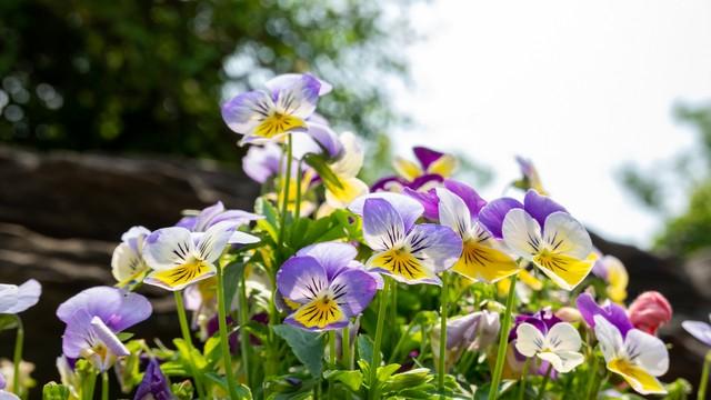 女人一生最重要的课题：回归自我，活出独立与丰盈