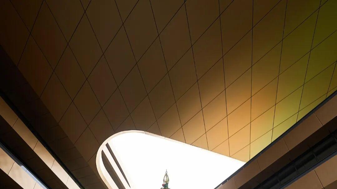 广州12月玩乐新地标！4大梦幻互动、暖冬飘雪、萌宠乐园，和毛孩子的冬日仪式感！