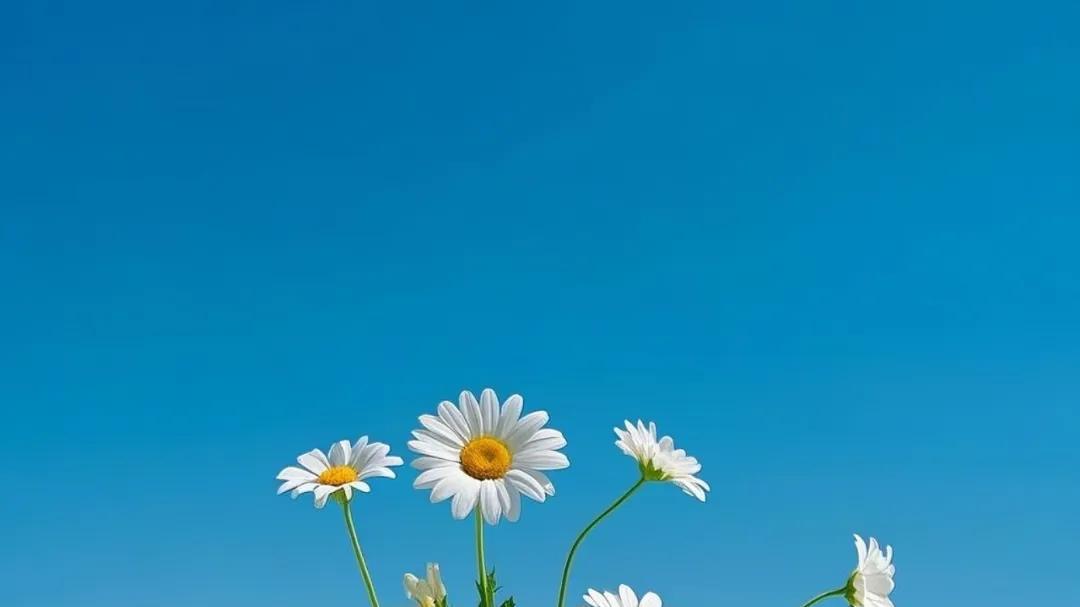 她递咖啡时小指勾你三下？解码女同事十大危险信号