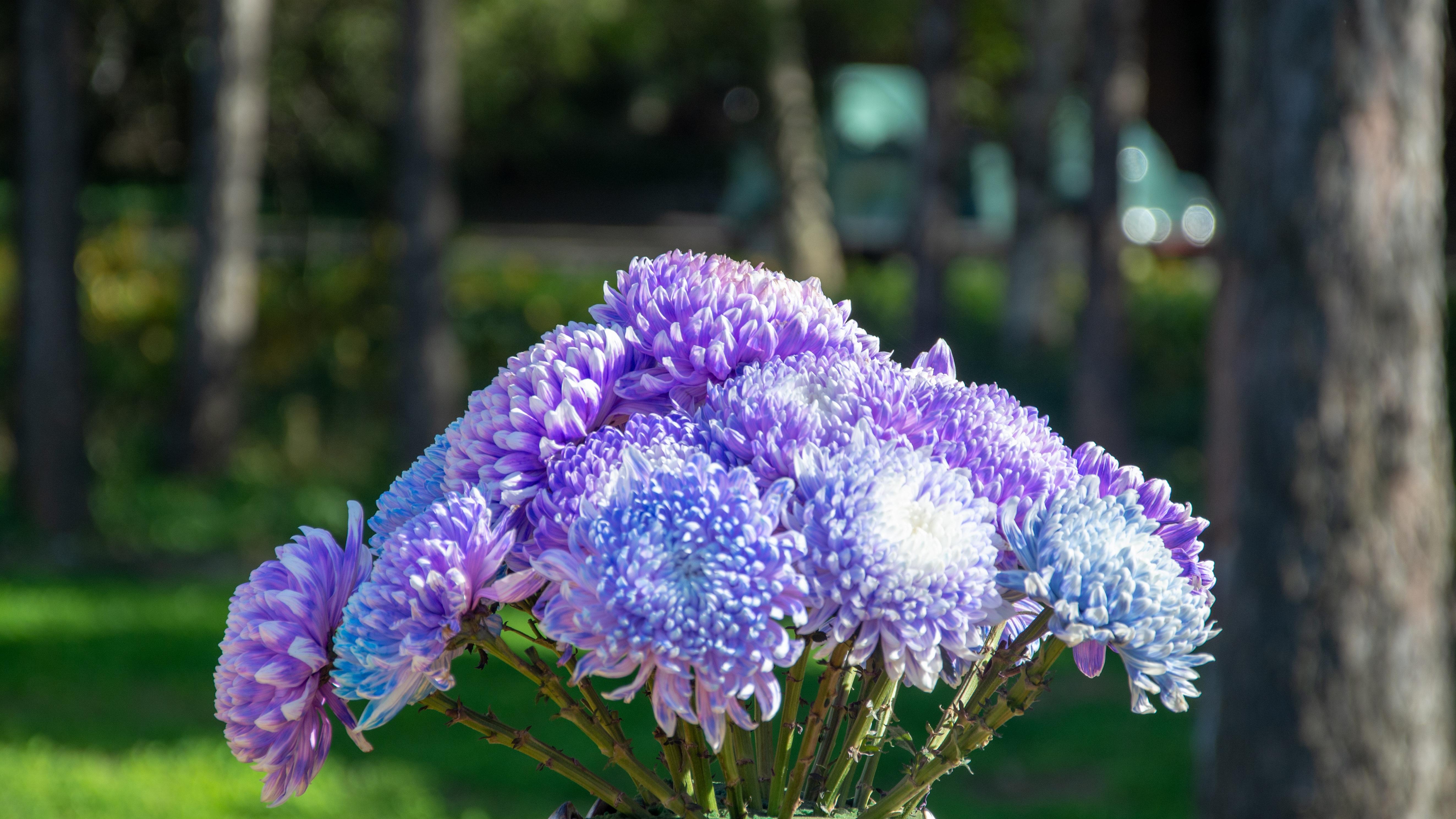 神舟二十二号：一次应急发射的完美答卷