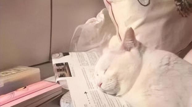 技能“自定义buff”开启，天赋兑现，三界中的我现在强得可怕！