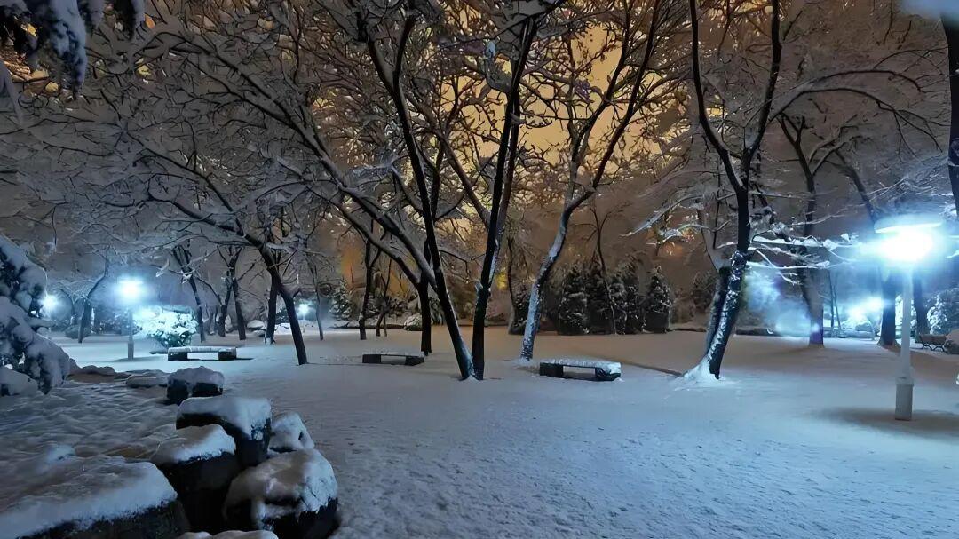 七律·岁末寒夜待春曦