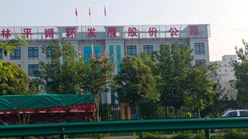 林平发展实控人控股超八成，营收接连下滑，税补占比高