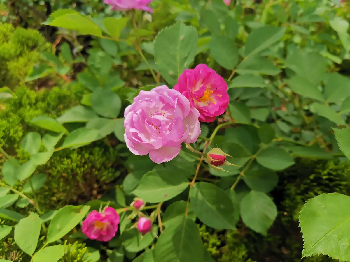 努力做一个真正勇敢的人