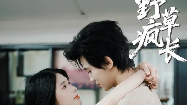 红果开播成王炸的4部短剧，阵容强大看点十足，你看过几部呢？