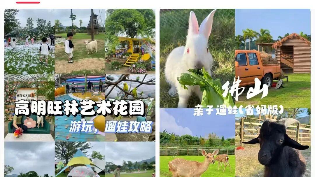 人均分红超6000元！佛山这个村子又美又富🤩