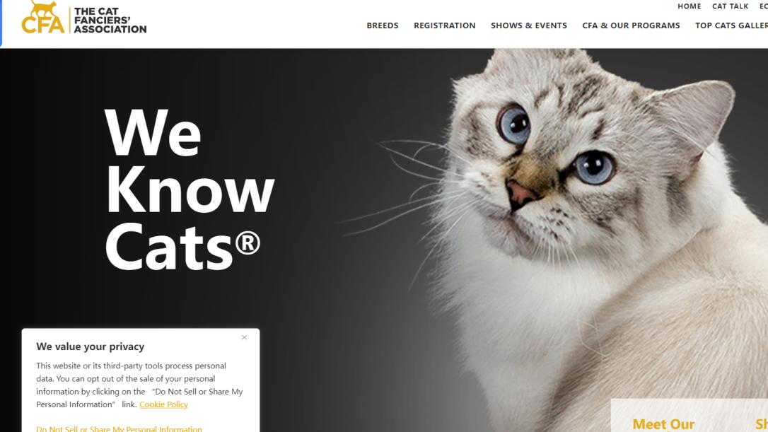 CFA 国际爱猫联合会：百年权威的纯种猫守护者
