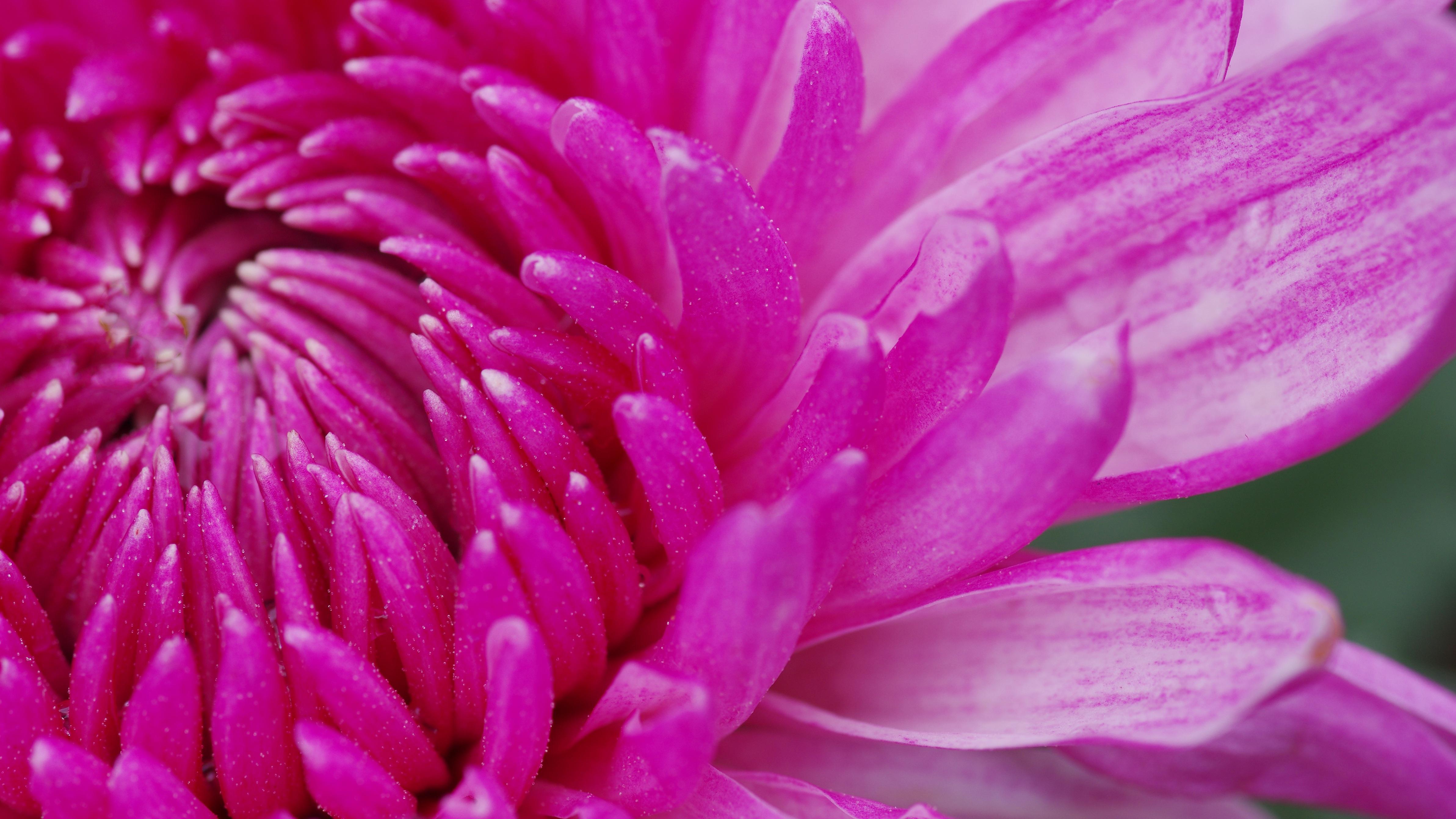 美国科技股大跳水，是黑洞还是黑五？