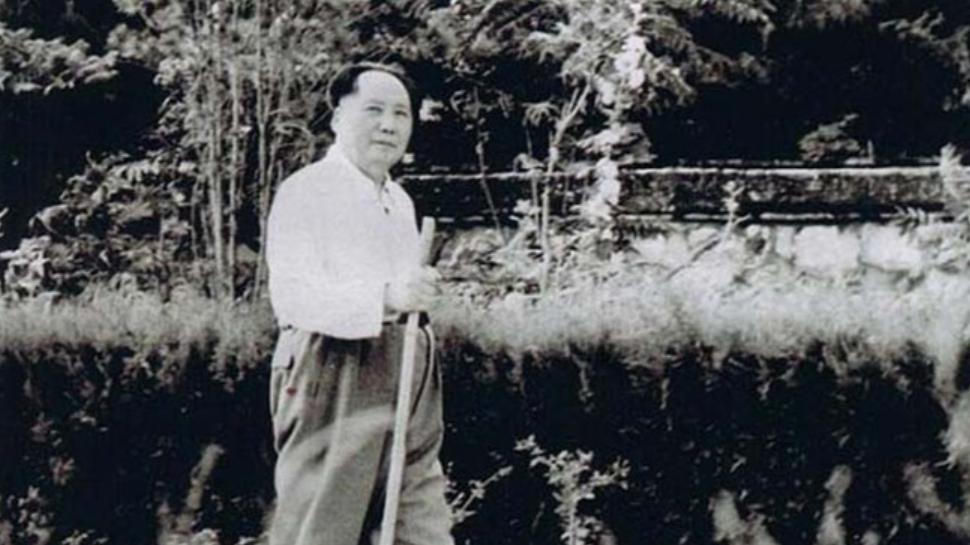 1948年，毛主席在河北召开会议，看到李先念到场后：你脸怎么了？