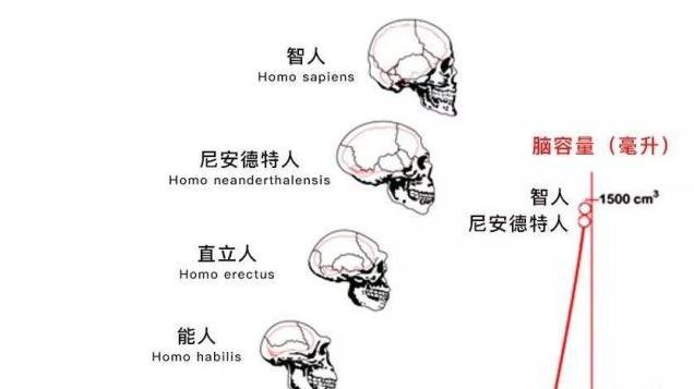 在史前丛林中，脆弱的新生儿靠什么存活？