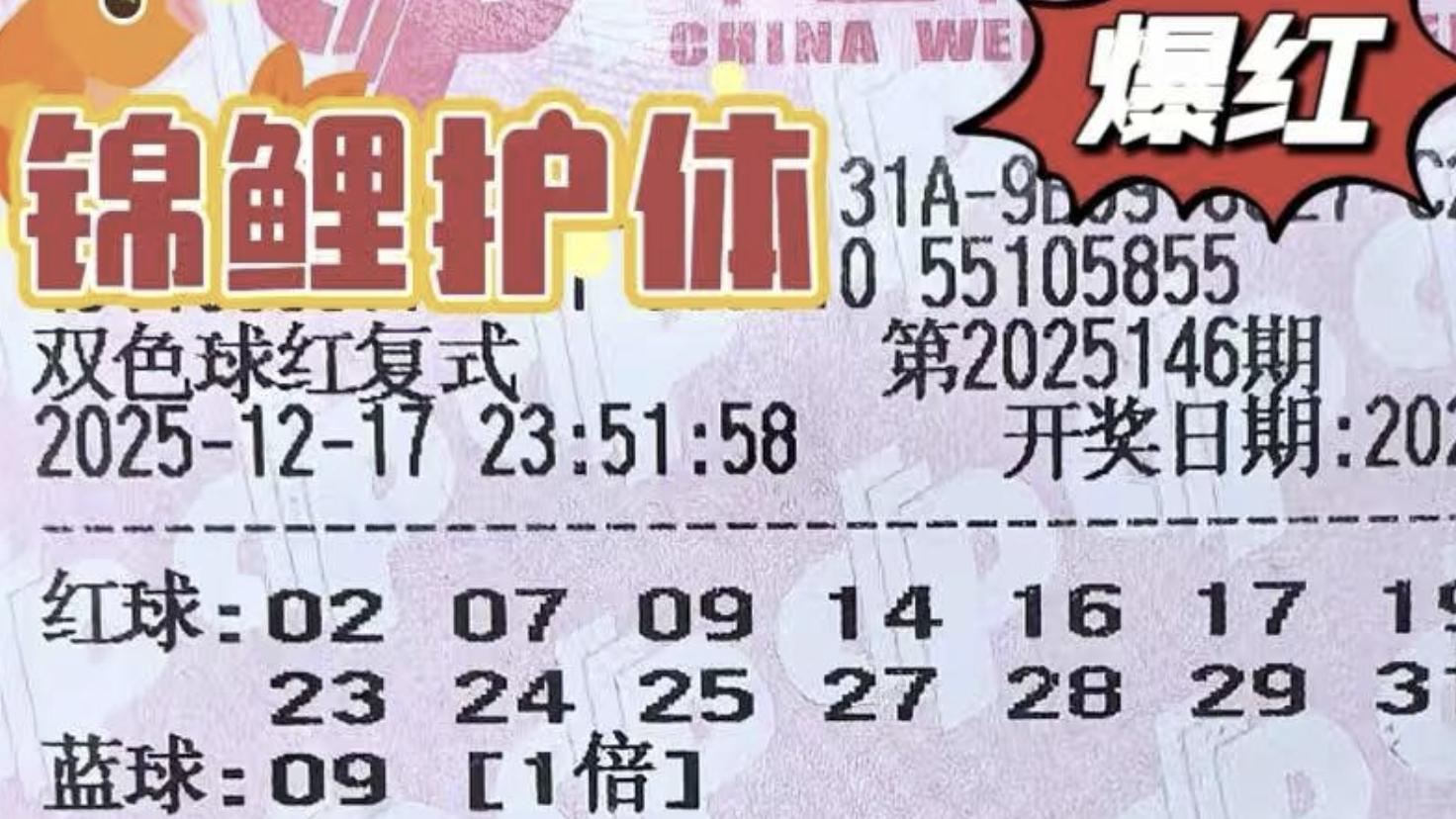 1.6万复式一如既往发起挑战，静待大奖花开落地，双色球25146期赏析