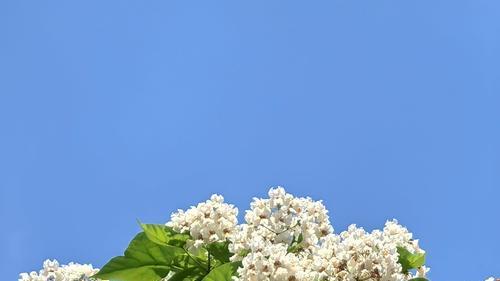 热搜标题：流量密码藏在“人心”里