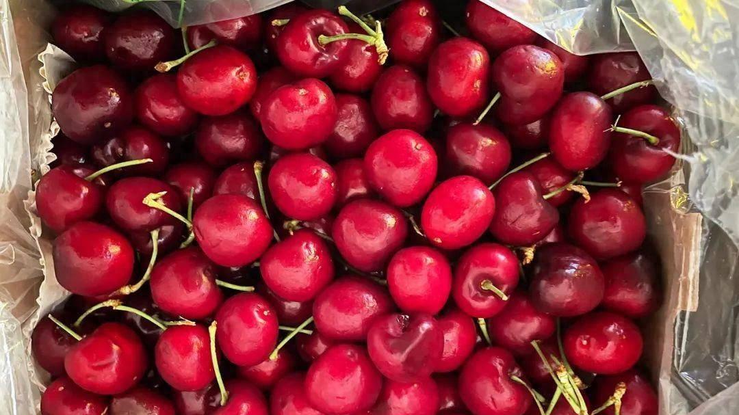 车厘子刚上市，价格“断崖式下滑”，还想上涨？几乎不可能了！