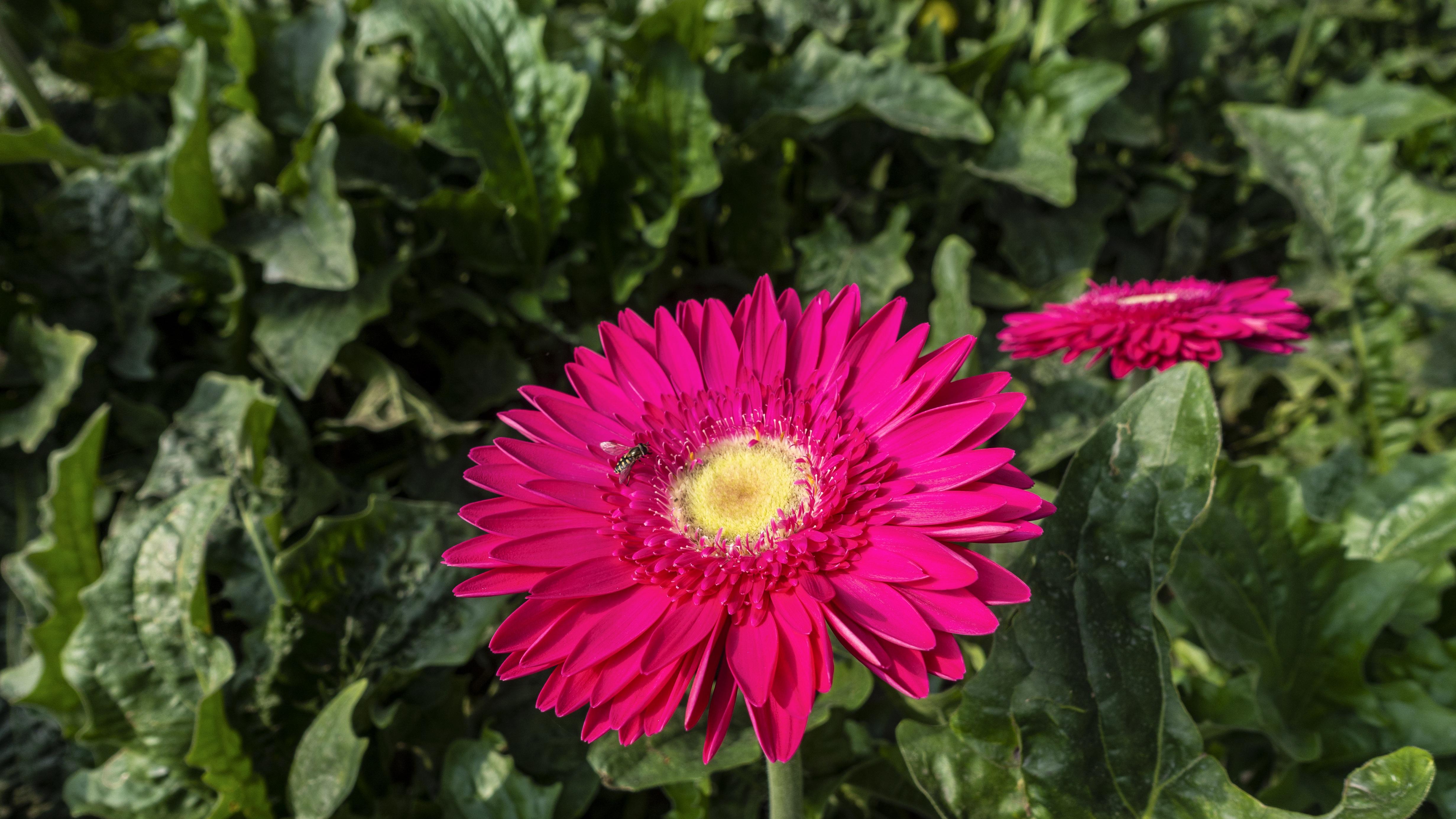 点燃人造太阳：下一代能源的中国时刻