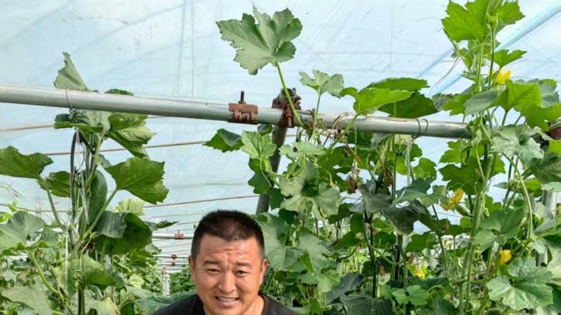 高原上的鲁商引擎——林芝市鲁商产业园的藏区协同发展纪实