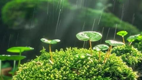 异性之间：不纠缠，不打扰，不联系，是我爱你的最后方式。你好好过，我慢慢忘