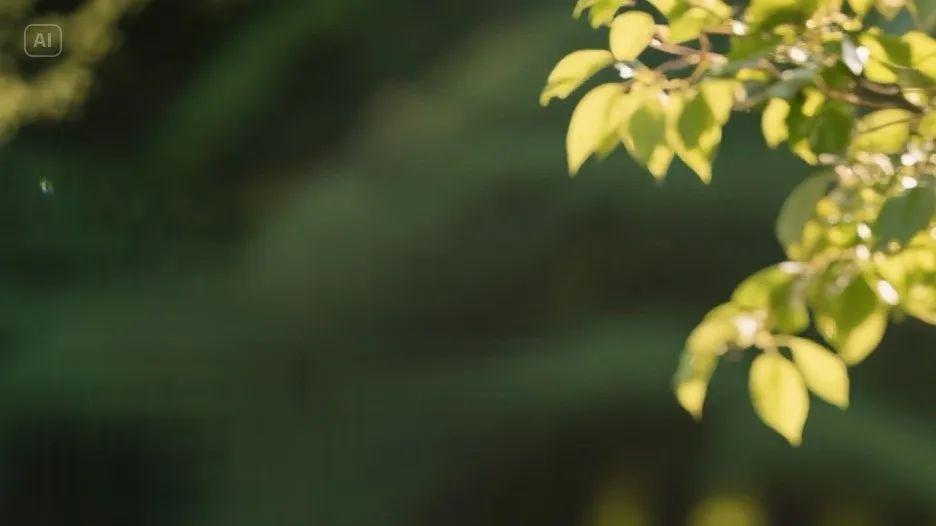 弹性退休怎么选？这份指南告诉你