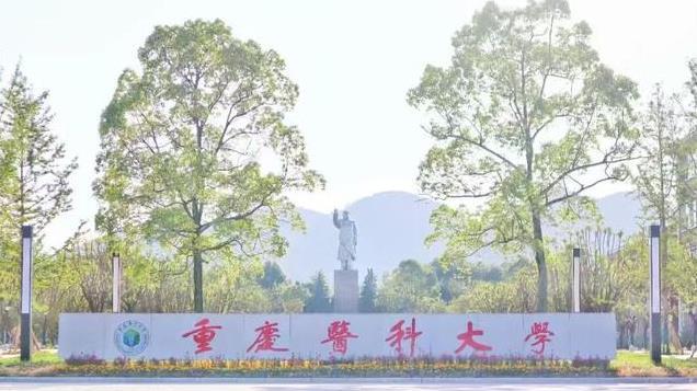 重庆医科大学校长黄爱龙已卸任，曾入围院士候选人