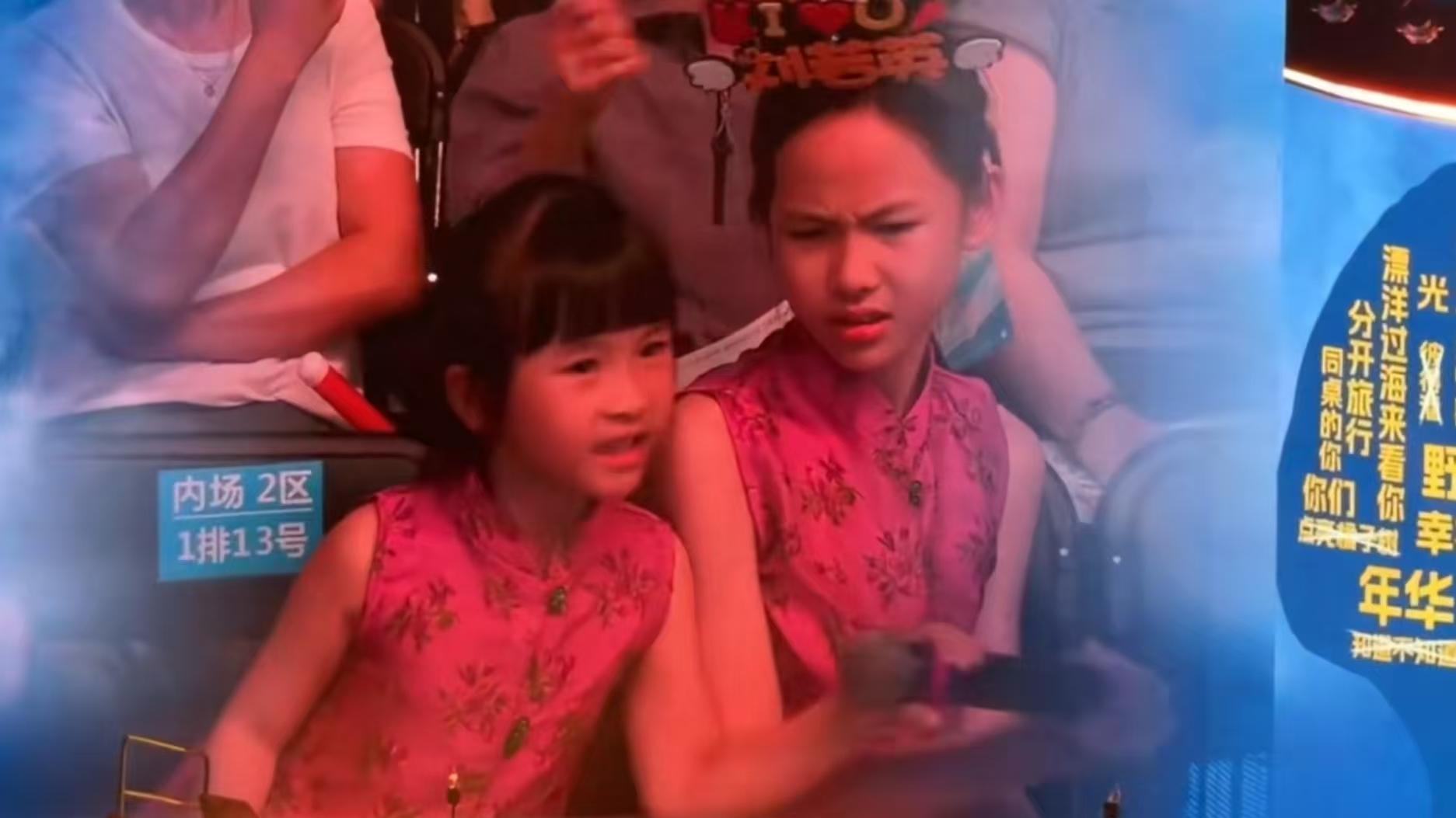 从刘若英演唱会看中国式教育：为什么受伤的总是姐姐？