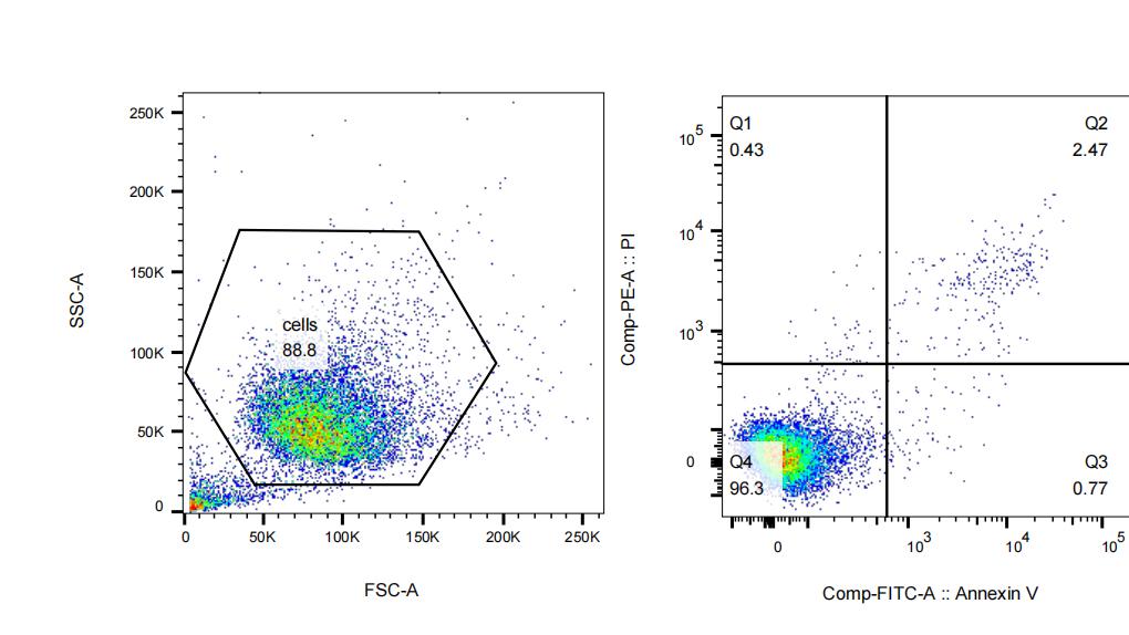 细胞凋亡检测步骤