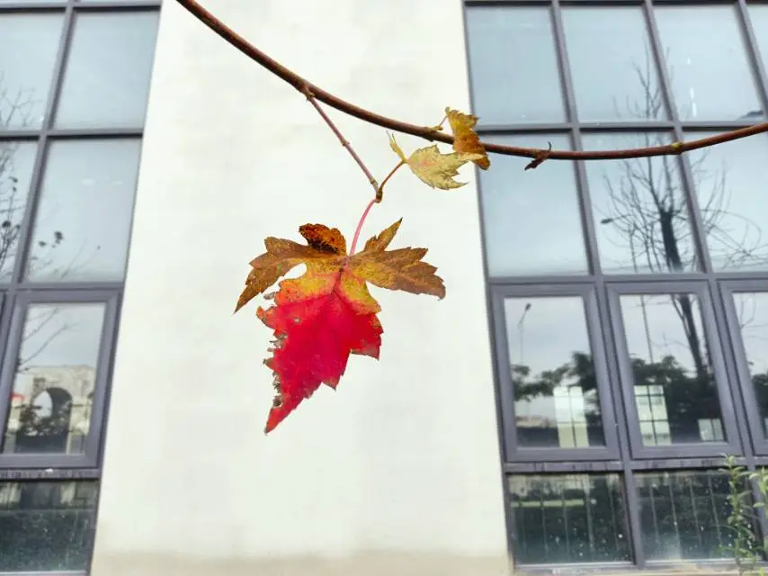 随笔：做喜欢的事，爱能爱的人