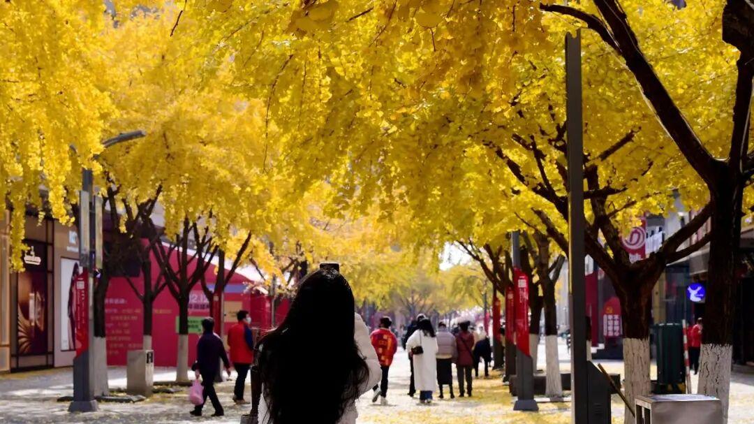 退休后，越活越幸福的人，都偷偷练会了这 3 招！