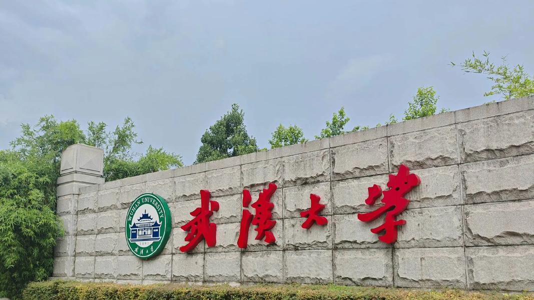 武汉大学到底有没有包庇杨某媛？面对质疑应该要表个态