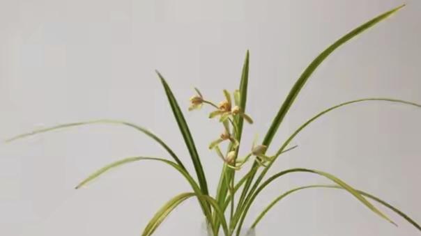 人应当先辨明是非再站立场，而不是先站立场再论是非