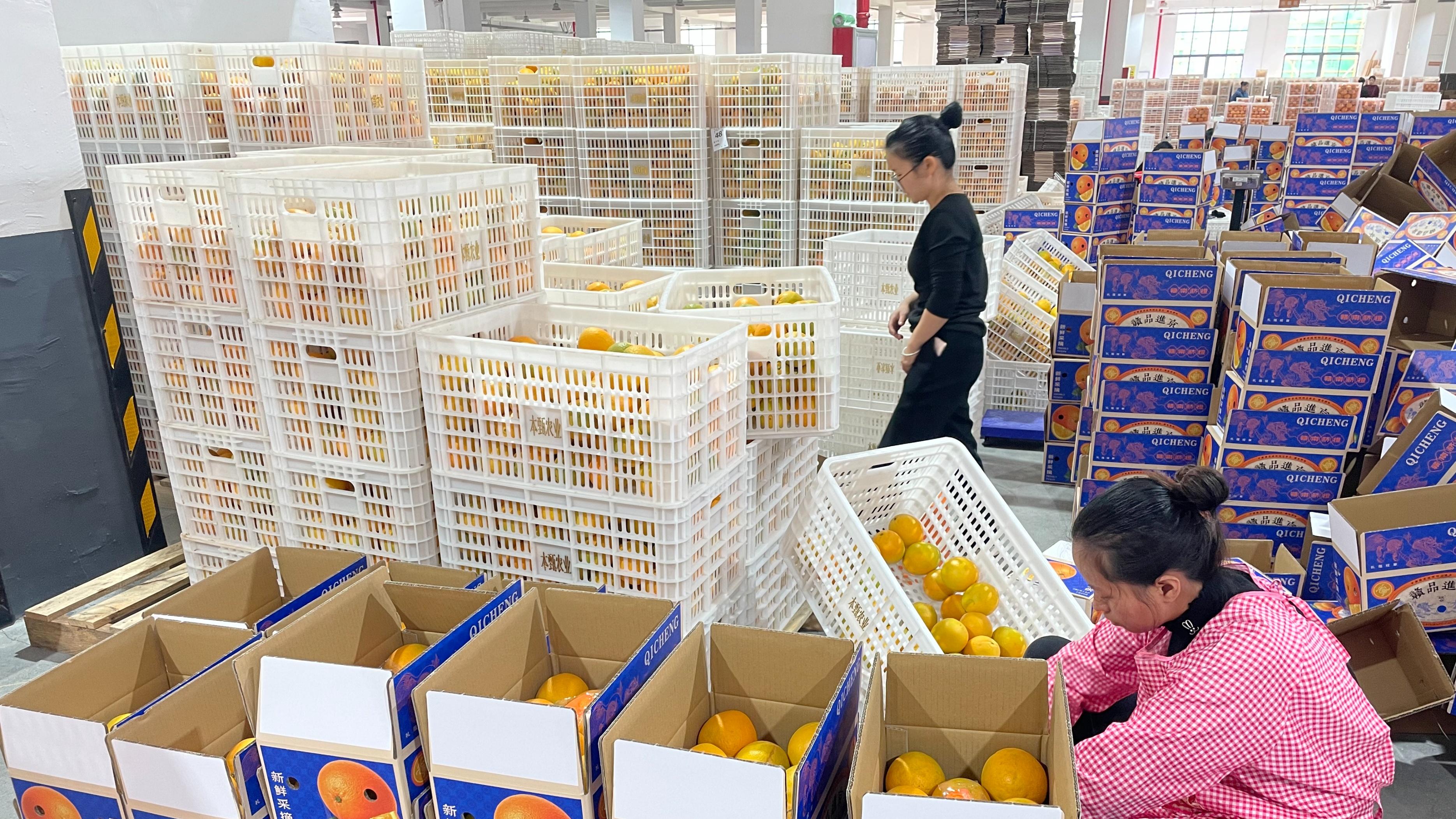 揭秘|从山间到京城，赣品进京赣南脐橙如何成为北京食客的新宠