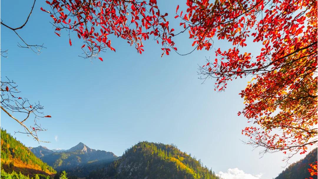 10月从成都到九寨沟看红叶彩林旅游攻略