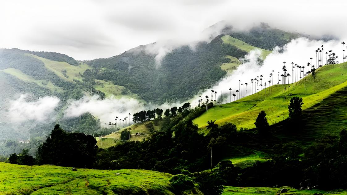 曾砸70亿打毒战，结果种植面积反增50%