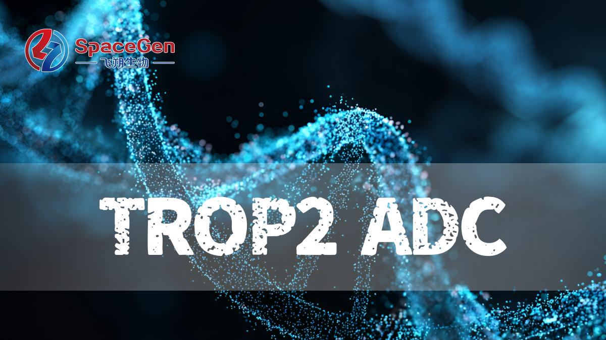 国产TROP2 ADC再下一城：芦康沙妥珠单抗获批用于EGFR突变晚期肺癌二线治疗