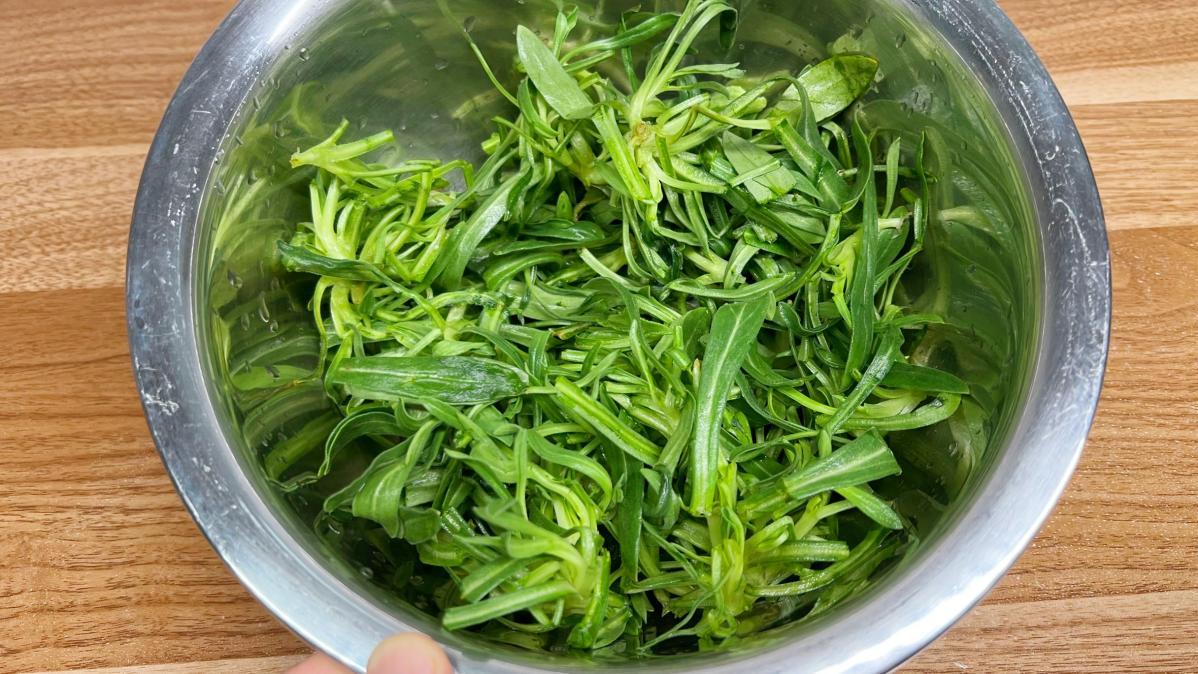 面条菜，这种农村野菜比芹菜菠菜好吃，还不上火，你吃过吗？