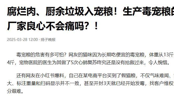 自制猫饭和猫粮哪个更科学？你家猫咪状态会告诉你答案