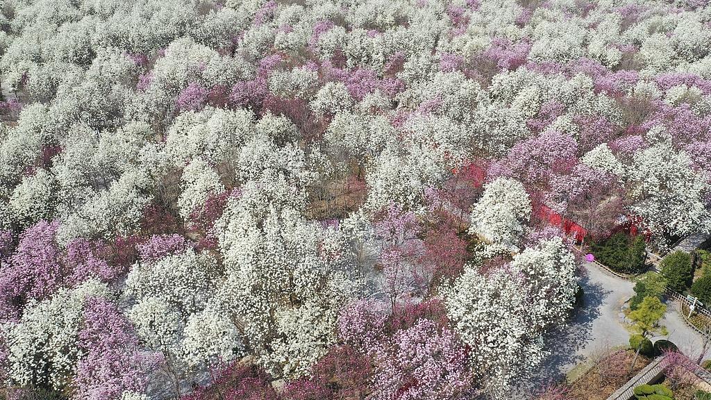 申请退学的博士：坚持515天，被导师和实验条件磨灭了当初的科研热情